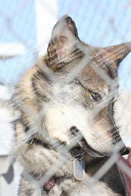 media/Jan-17-2026-CVMA (Sat) [[ab348a895b]]/Around the Pits/